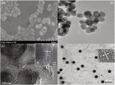 Modifying SnS2 With Carbon Quantum Dots to Improve Photocatalytic Performance for Cr(VI) Reduction